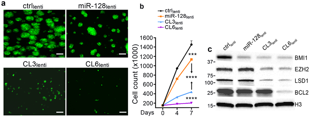 Figure 5: