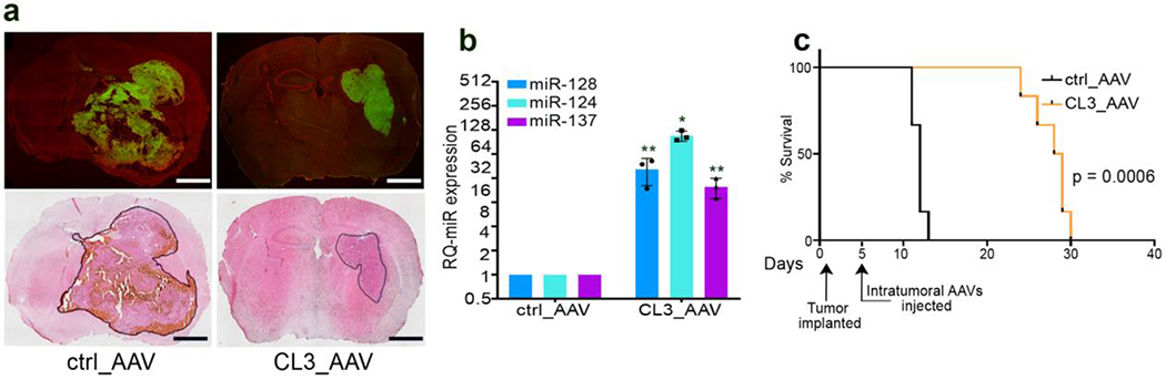 Figure 6: