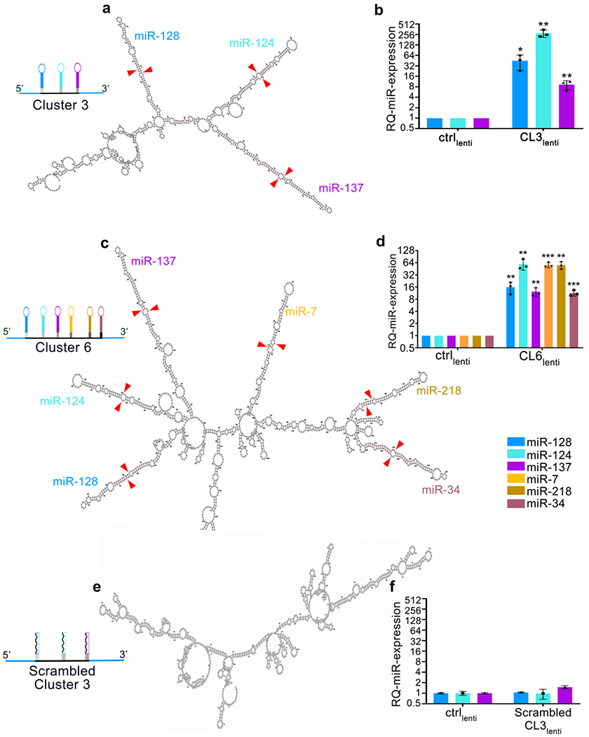 Figure 3: