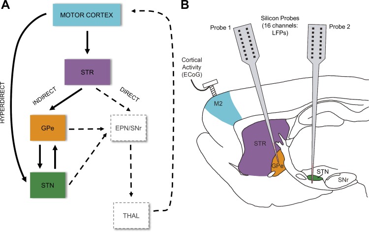 Fig. 1.