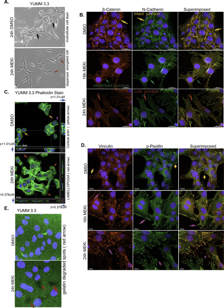 Figure 3: