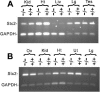 FIG. 8.