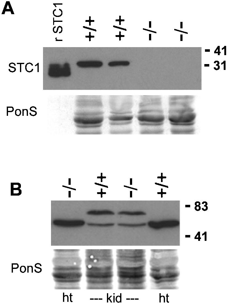 FIG. 5.