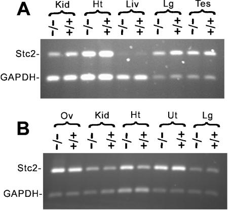 FIG. 8.