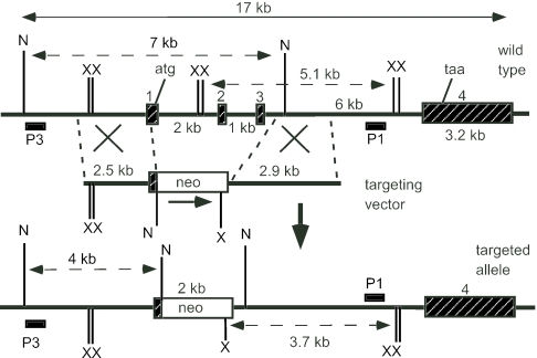 FIG. 1.