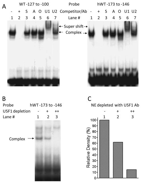 Figure 5