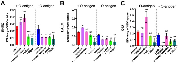 Fig 5