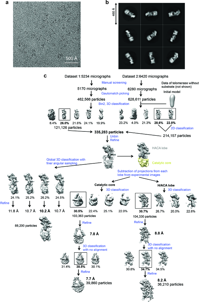 Extended Data Figure 3 |