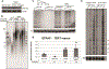 Extended Data Figure 2 |