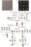 Extended Data Figure 3 |