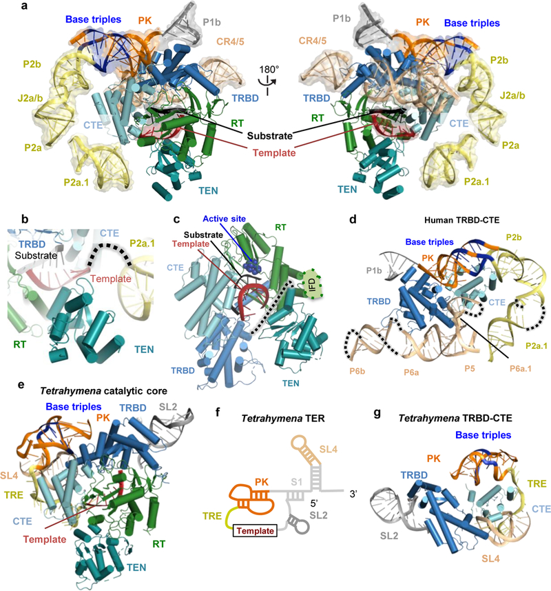 Figure 4 |