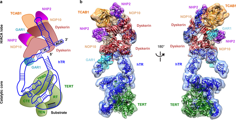 Figure 2 |