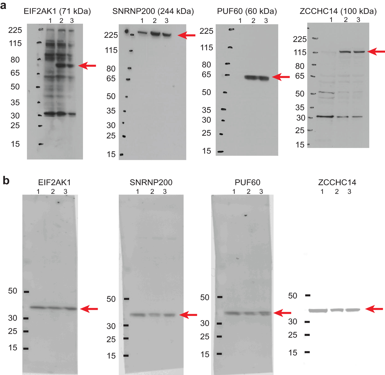 Extended Data Fig. 4