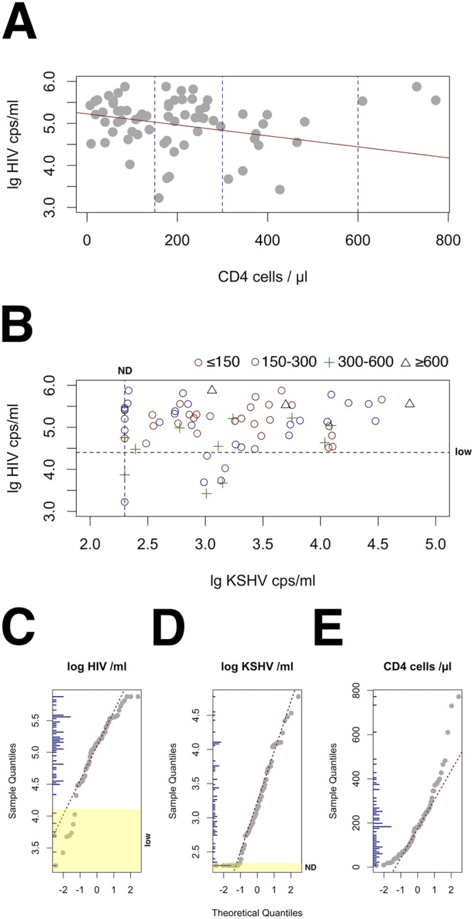 FIG 1 