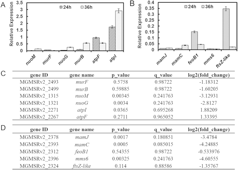 Figure 6