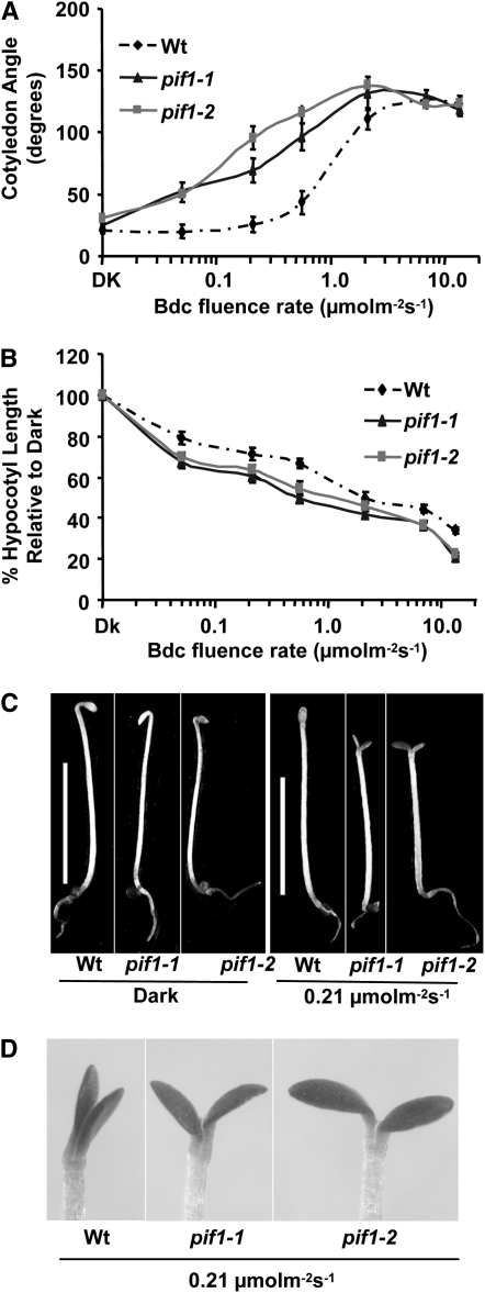 Figure 1.—