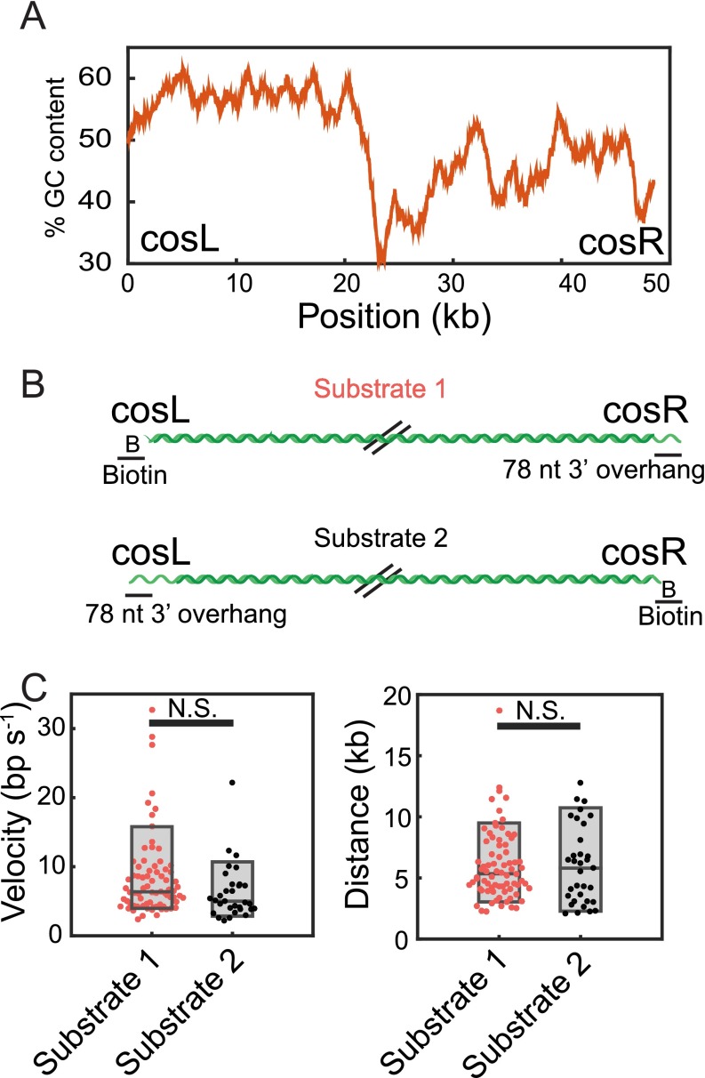 Fig. S5.