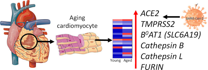 Unlabelled Image