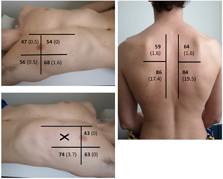 Fig. 2