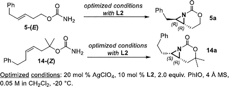 Scheme 2