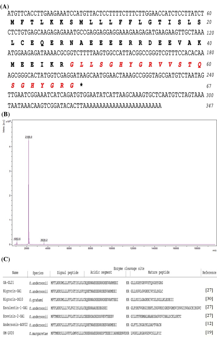 Figure 2