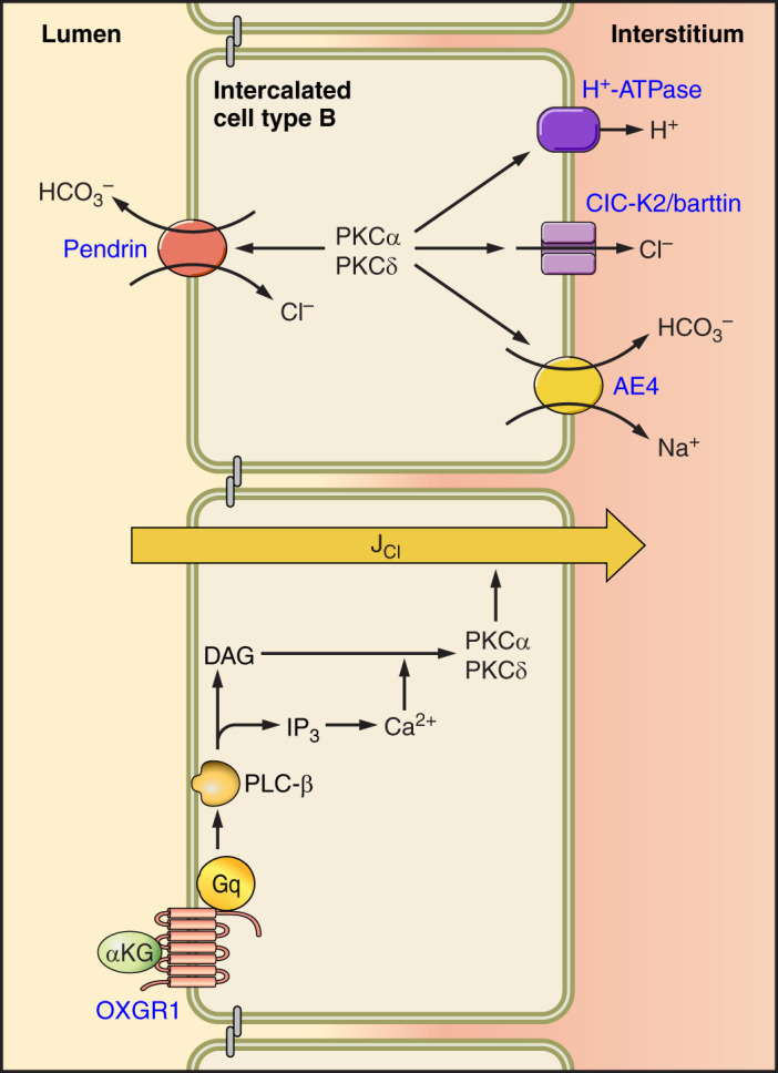 FIGURE 9.