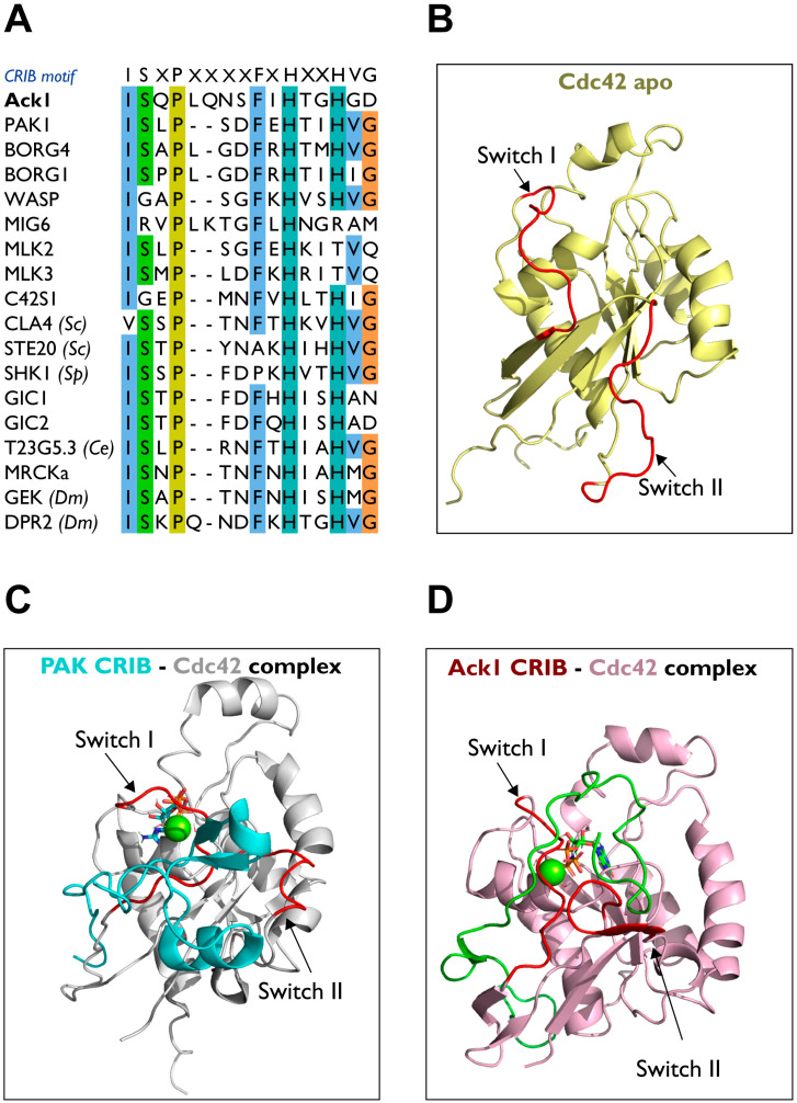 Figure 11