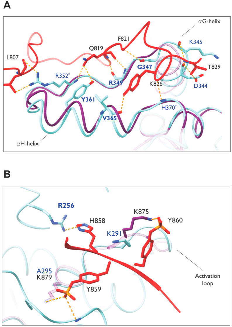 Figure 13