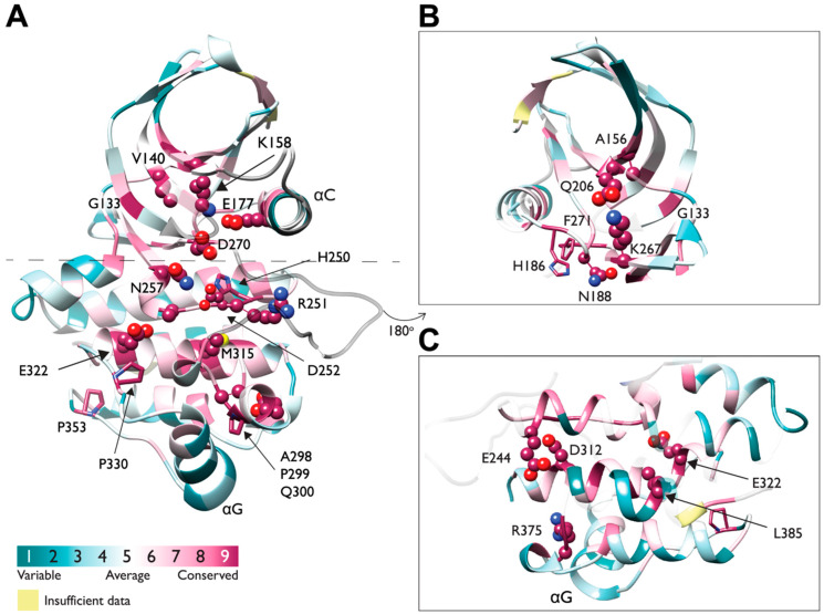 Figure 9