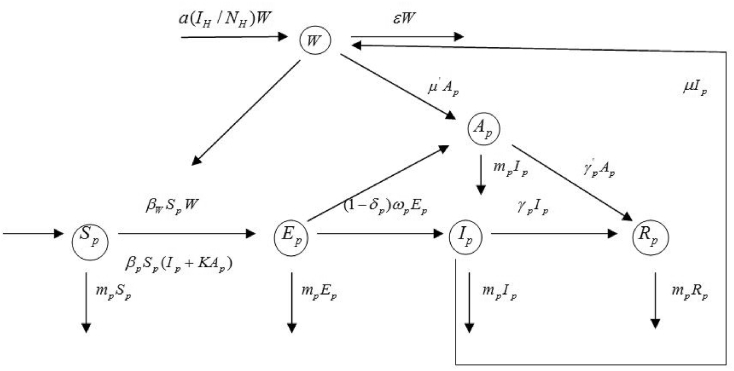 Fig. 2