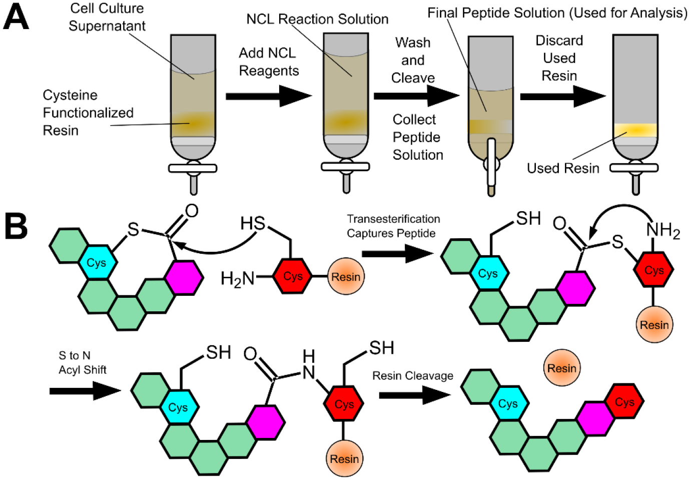 Figure 2: