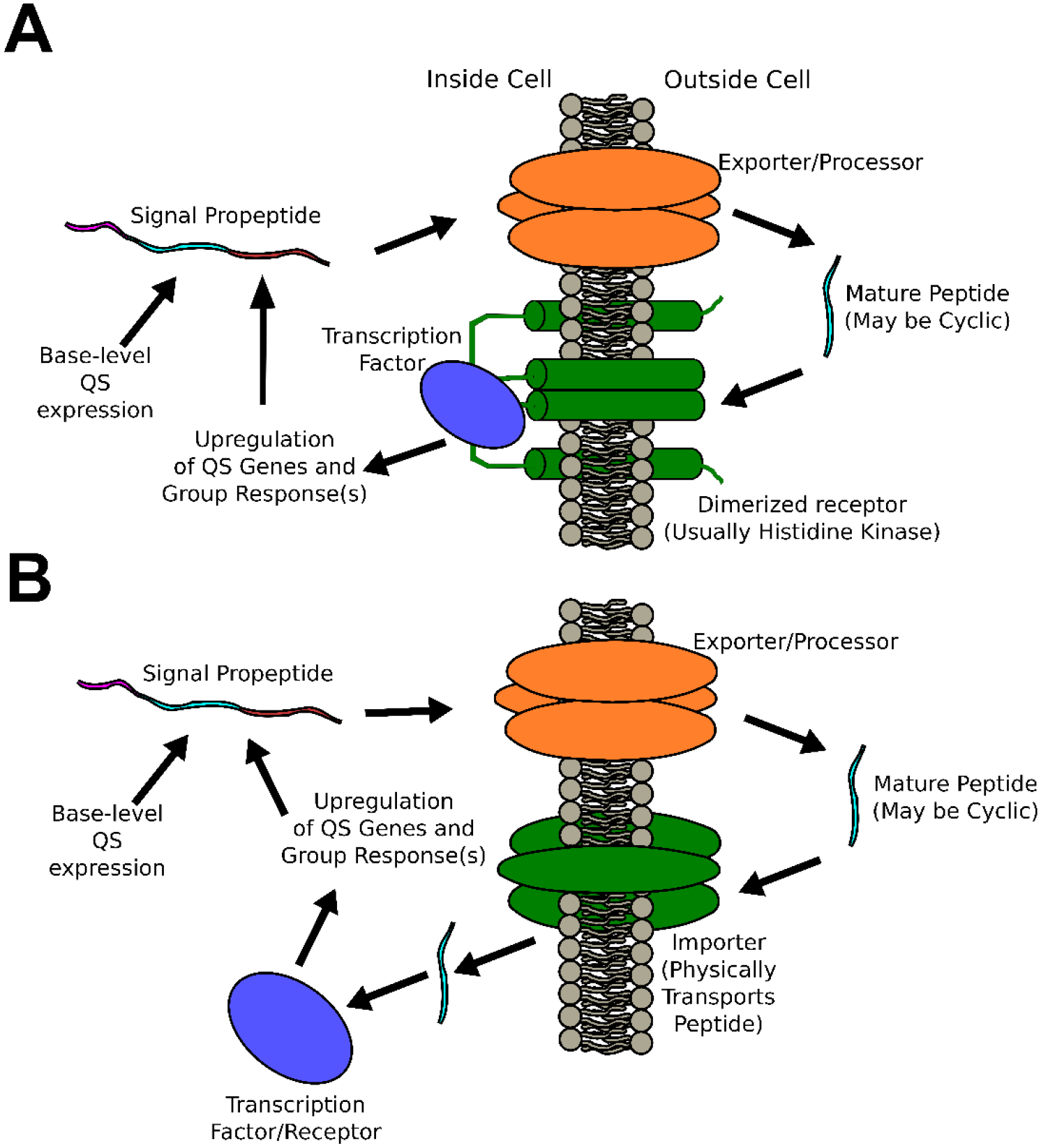 Figure 1: