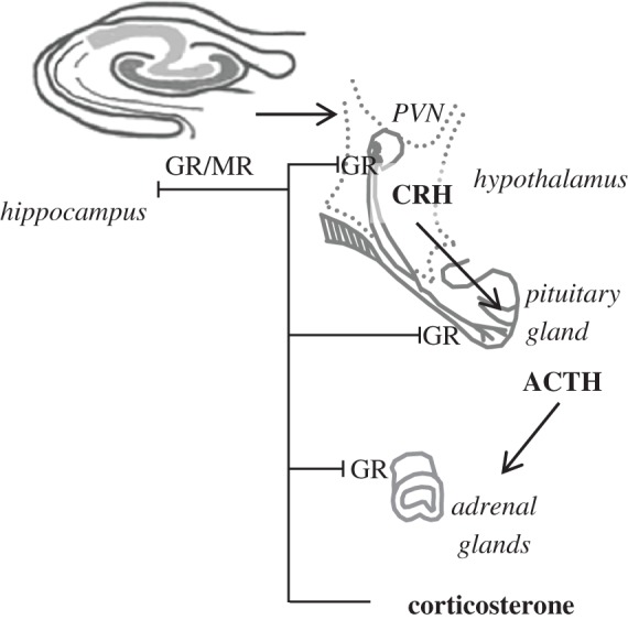 Figure 1.