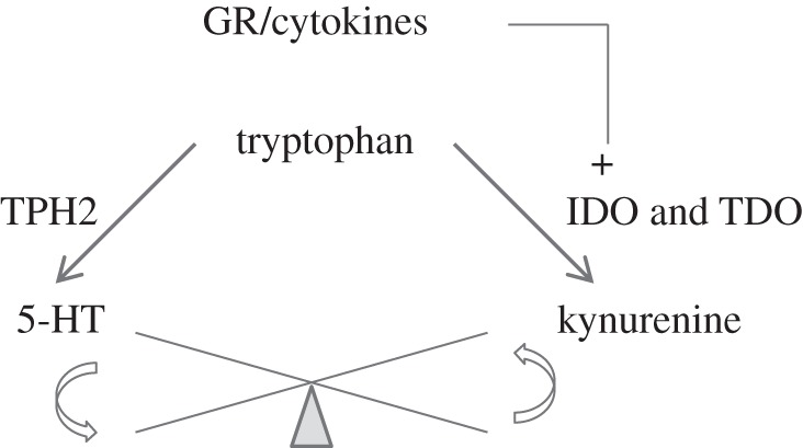 Figure 2.