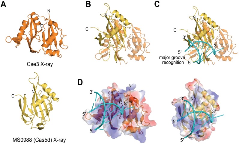 FIGURE 4.