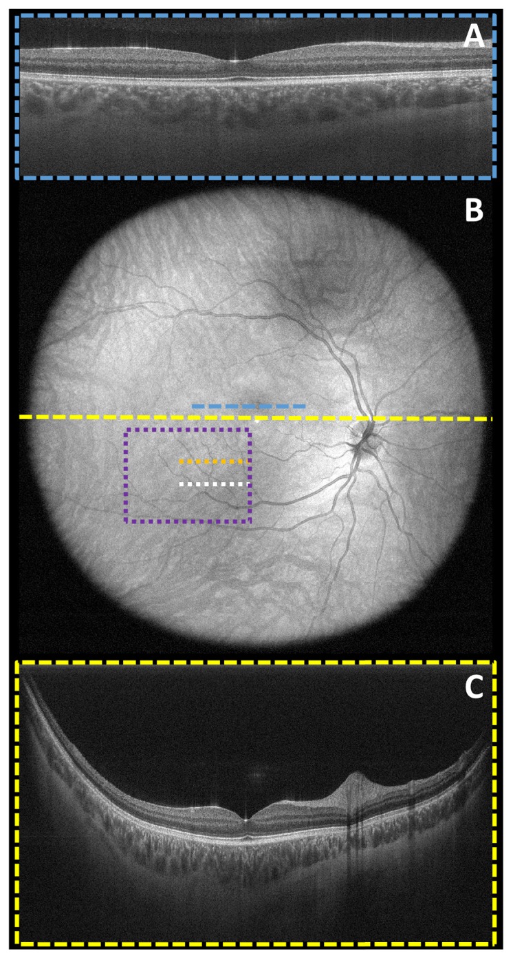 Fig. 5