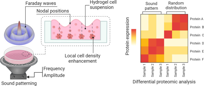 Image, graphical abstract