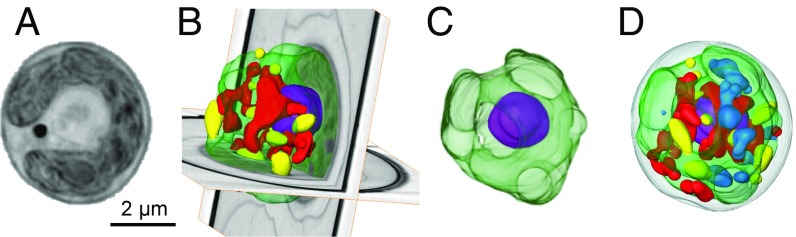 Fig. 1.