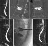 Fig. 10