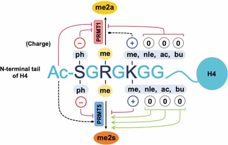 Figure 9.