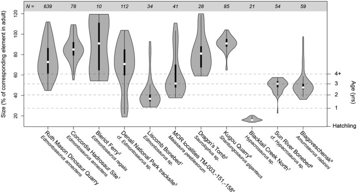 FIGURE 12