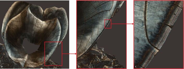 Fig. 3