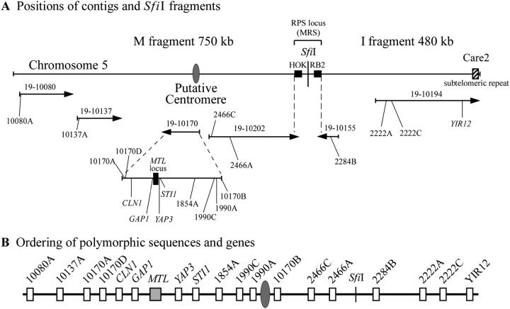 Figure 2.—