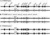 F<sc>igure</sc> 8.—