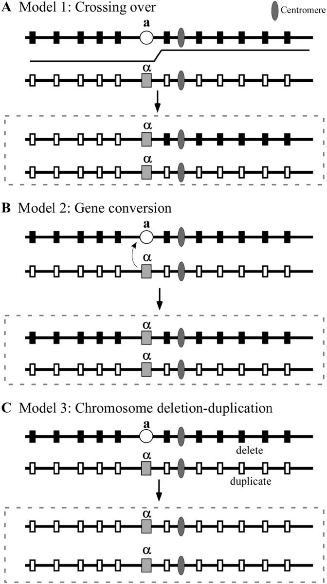 Figure 1.—