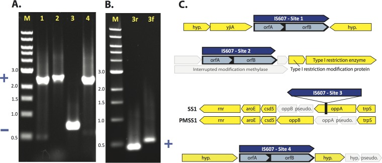 FIG 2 