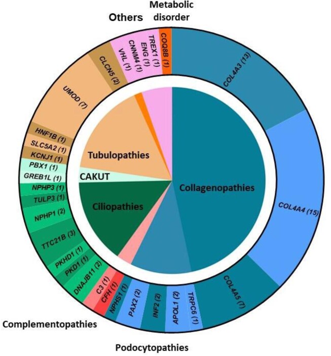 Figure 2: