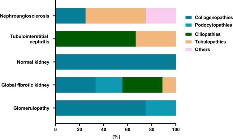 Figure 4: