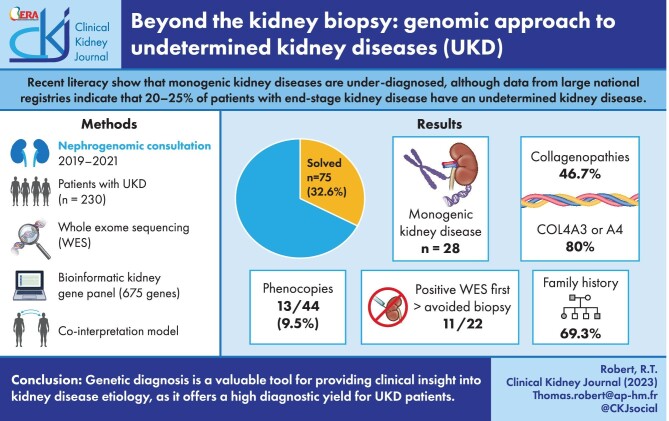 Graphical Abstract