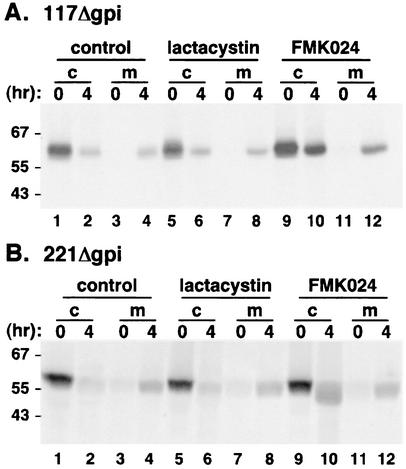 FIG. 5.